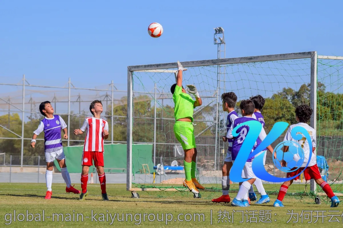 热门话题：为何开云体育逐渐成为年轻人的新宠？