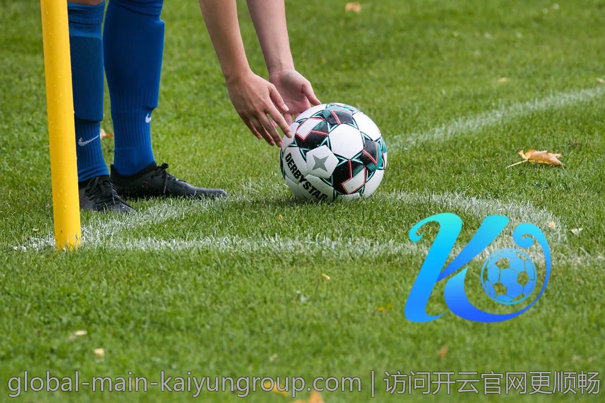 访问开云官网更顺畅，网络优化技巧分享